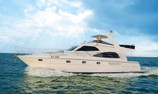 Majesty 55