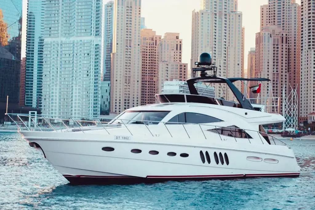 Sealine - Image 3