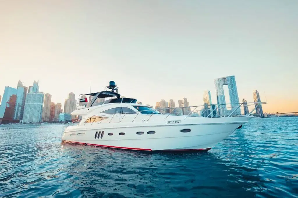 Sealine - Image 5