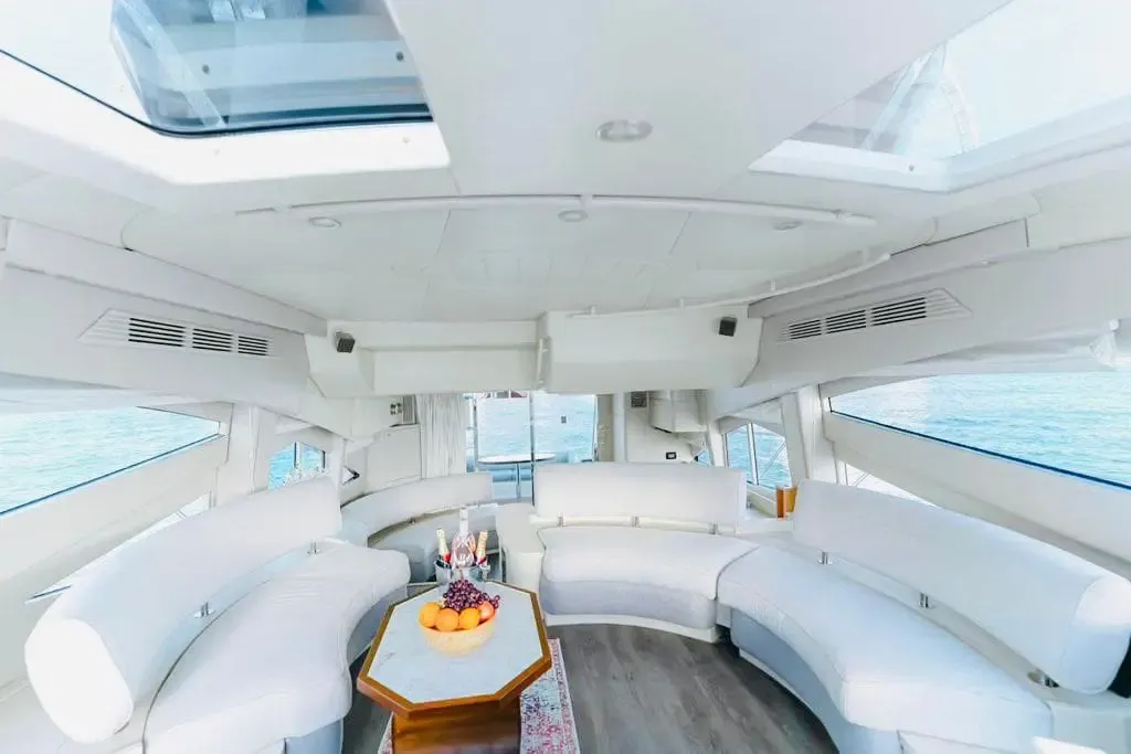 Sealine - Image 7