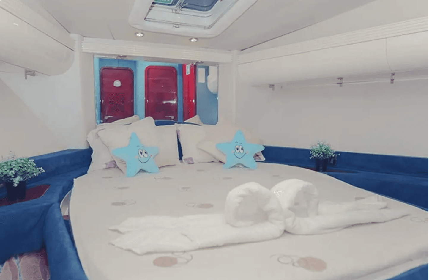 Amelia - Image 3