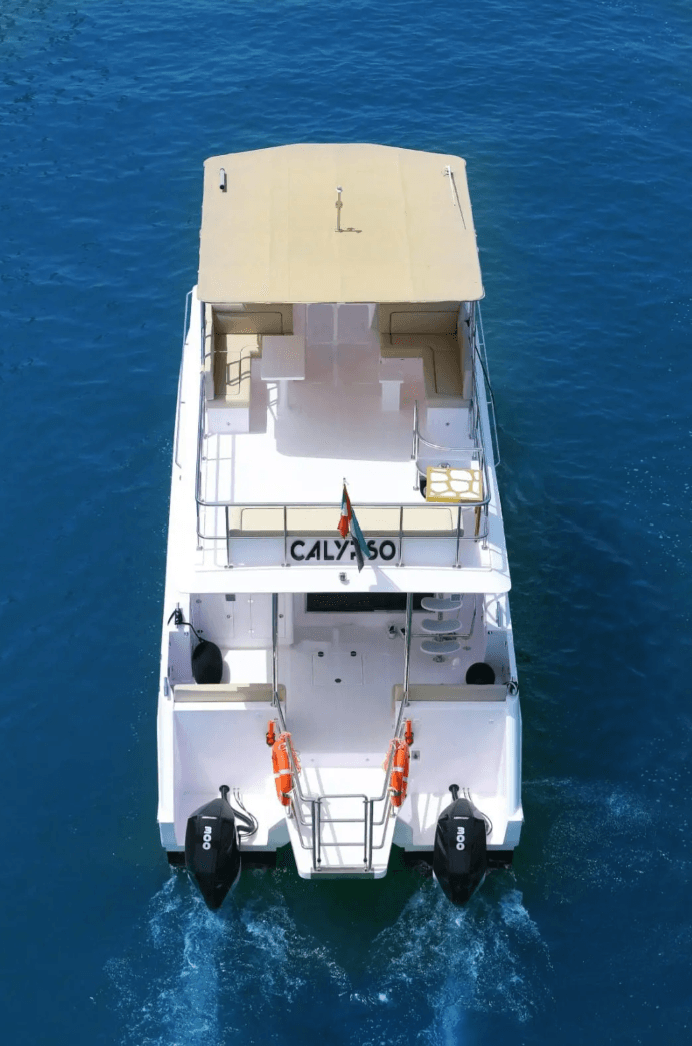 Calypso - Image 8