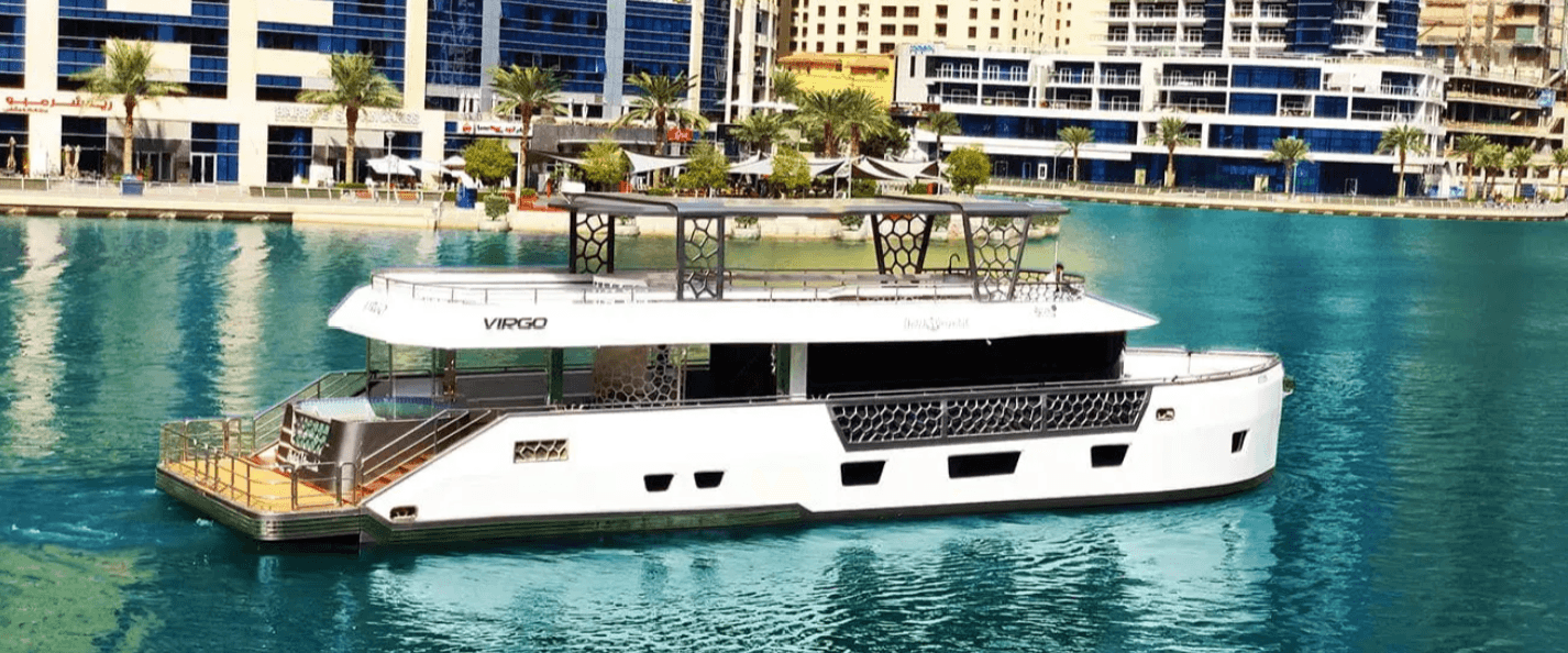 Virgo - Image 8