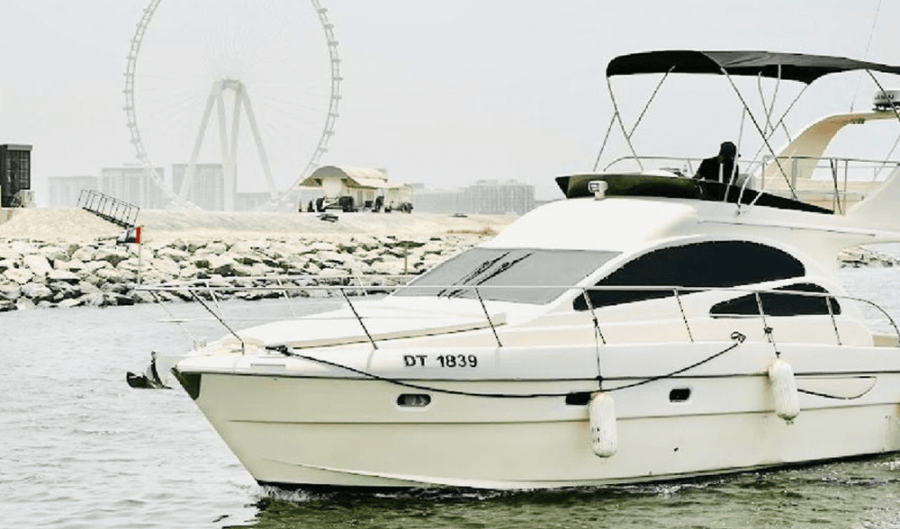 White Fish - Image 10