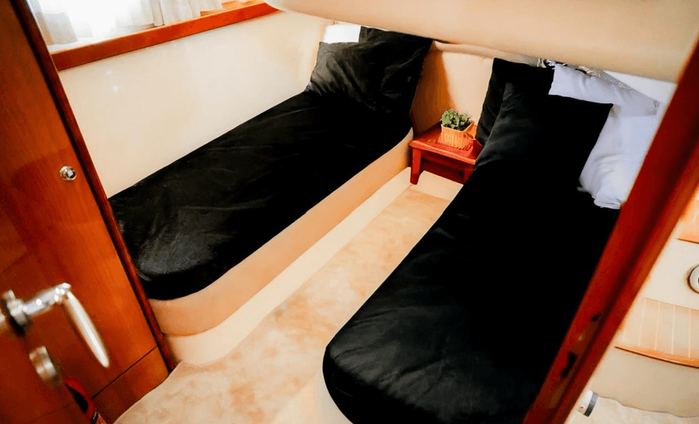White Fish - Image 3